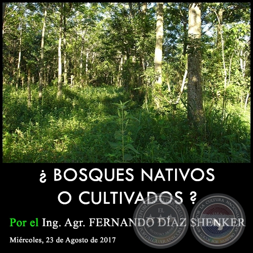 ¿BOSQUES NATIVOS O CULTIVADOS? - Ing. Agr. FERNANDO DÍAZ SHENKER - Miércoles, 23 de Agosto de 2017
